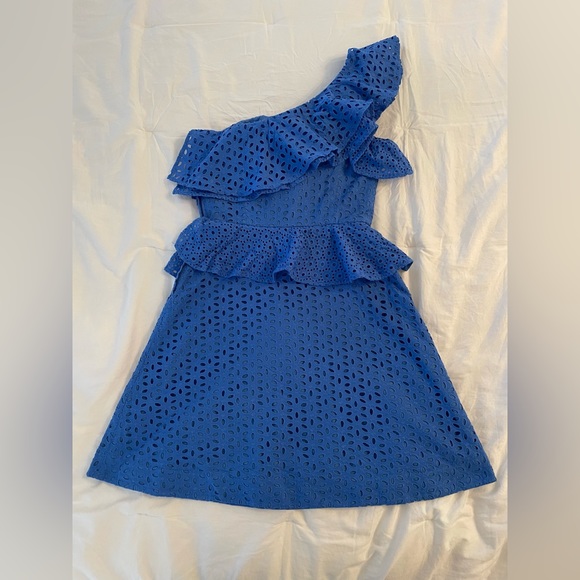 Lilly Pulitzer Joey Dress in Coastal Blue Oval Flower Petal Eyelet - Size 2 - Picture 5 of 9